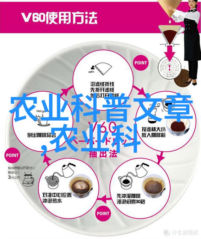 黄淮海夏玉米防除杂草促壮苗-