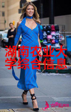 小麦播种关键技术