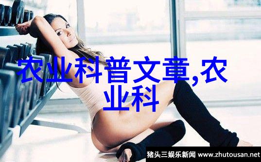 2007年 发表论文统计表